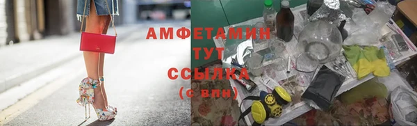 apvp Алзамай