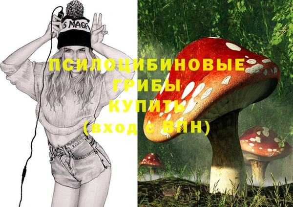 apvp Алзамай