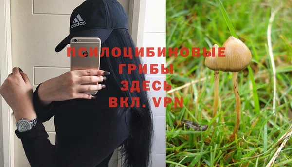 синтетический гашиш Алексеевка