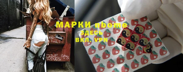 apvp Алзамай