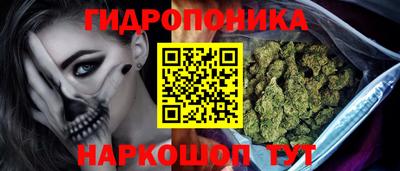 ешки Канаш