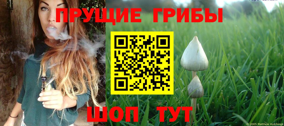 Галлюциногенные грибы мицелий Красногорск