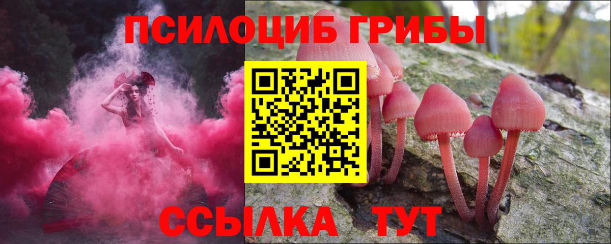 Красногорск  Галлюциногенные грибы прущие грибы  закладки  Вход с VPN 